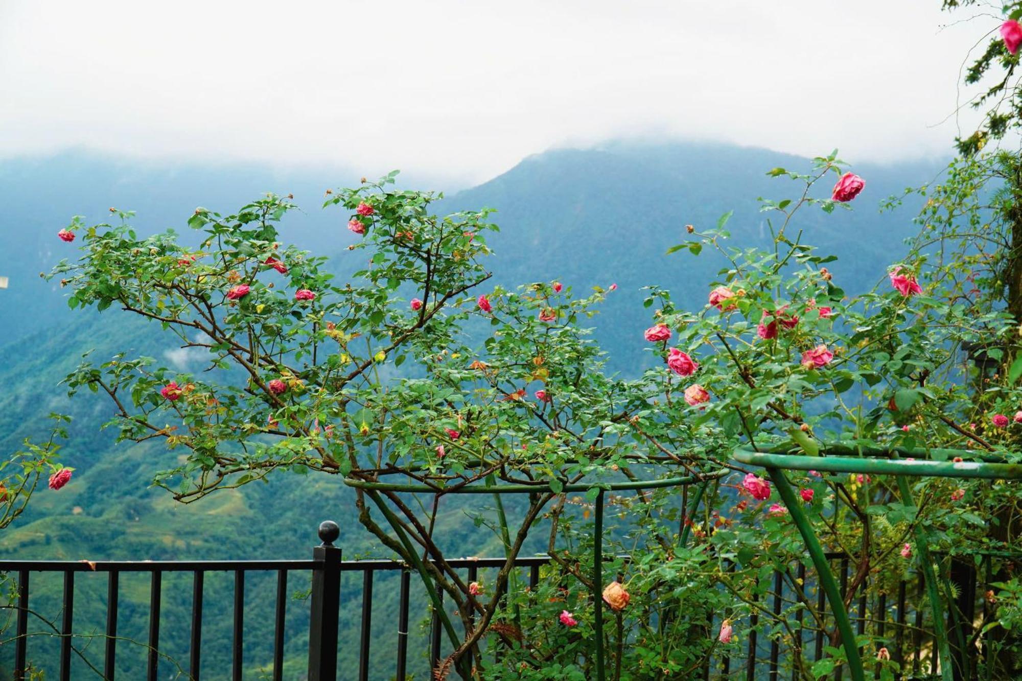 Sapa Highland Resort & Spa Exterior foto